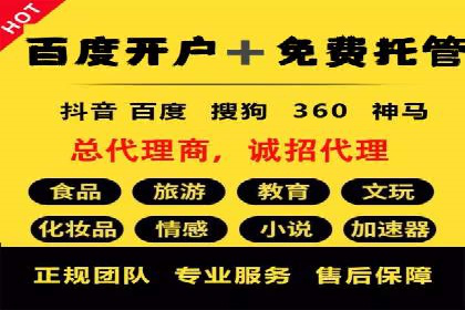 SEO策略在电商平台的成功应用案例
